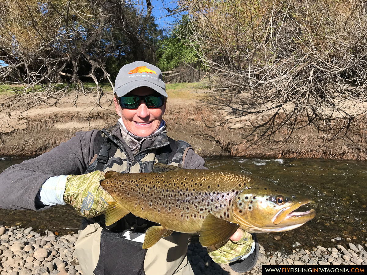 Fly fishing the Collon Cura River