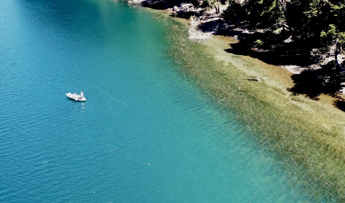 Photo from lago nuevo