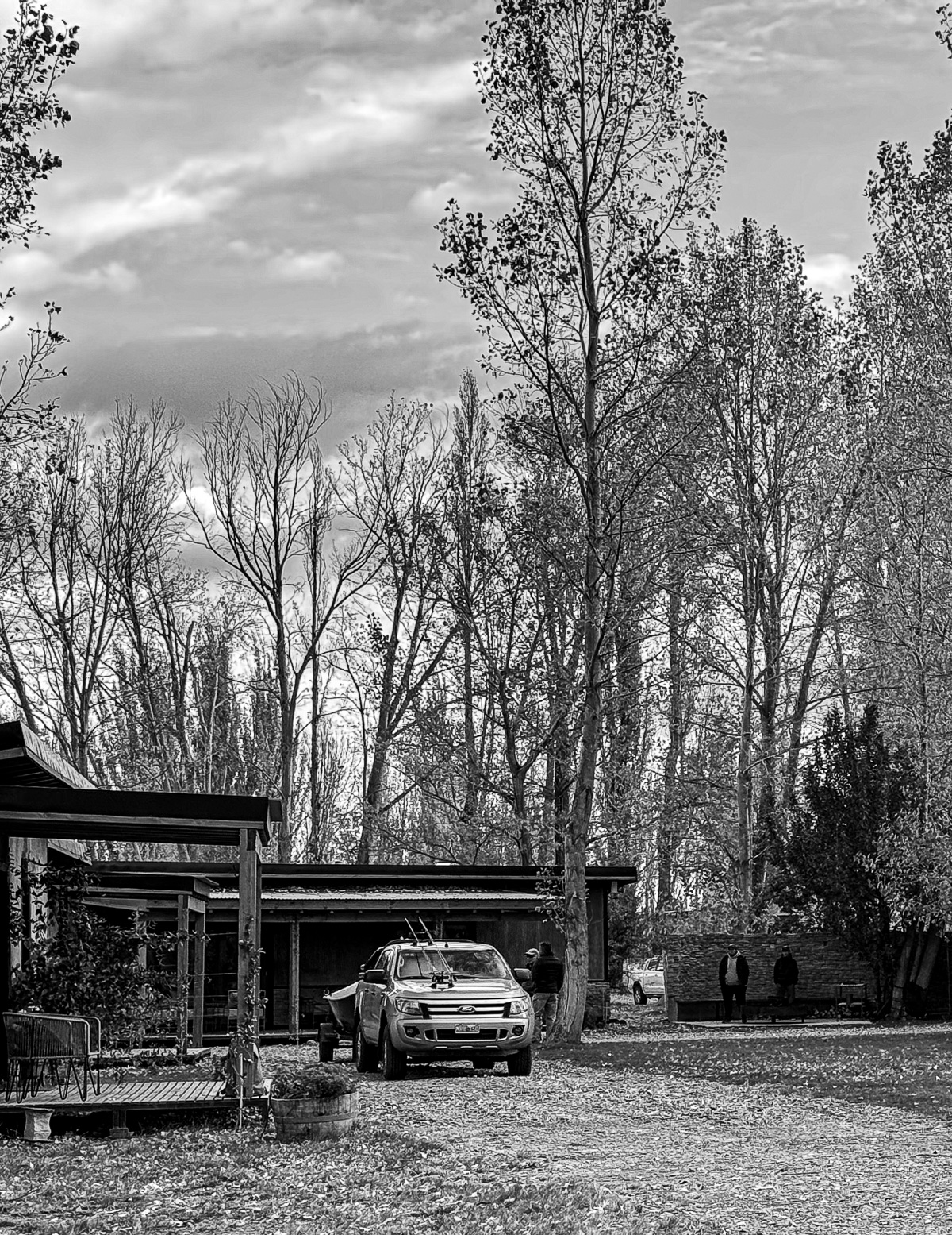 Limay River Ranch cabin nestled among tall poplar trees