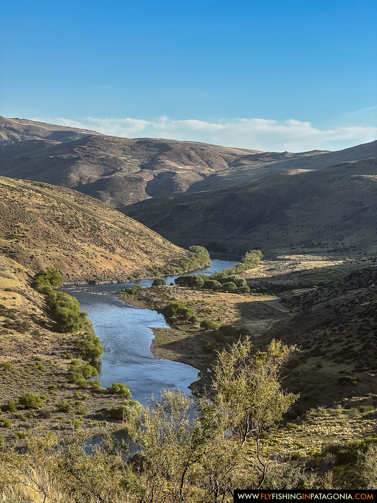 Alumine River fishing photo 20