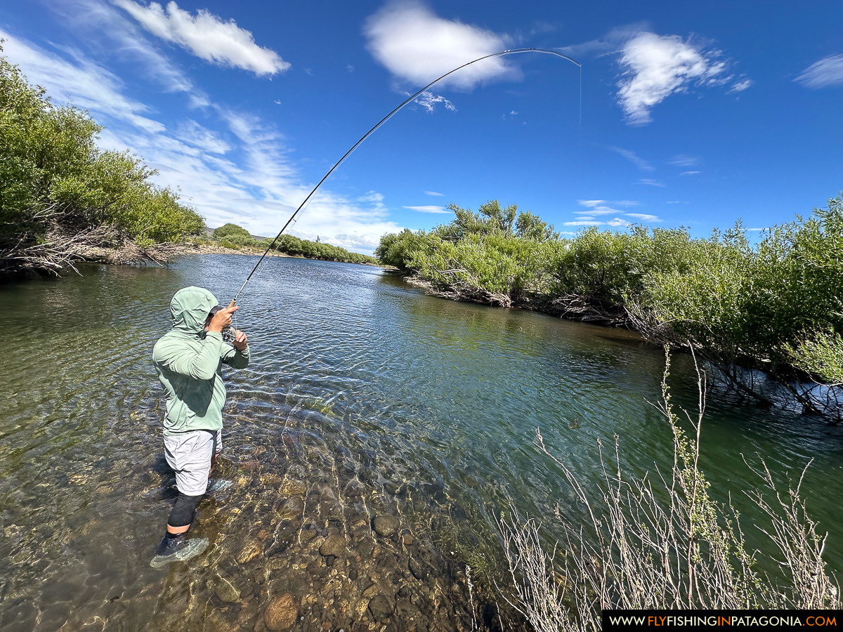 Chimehuin River fly fishing photo 12