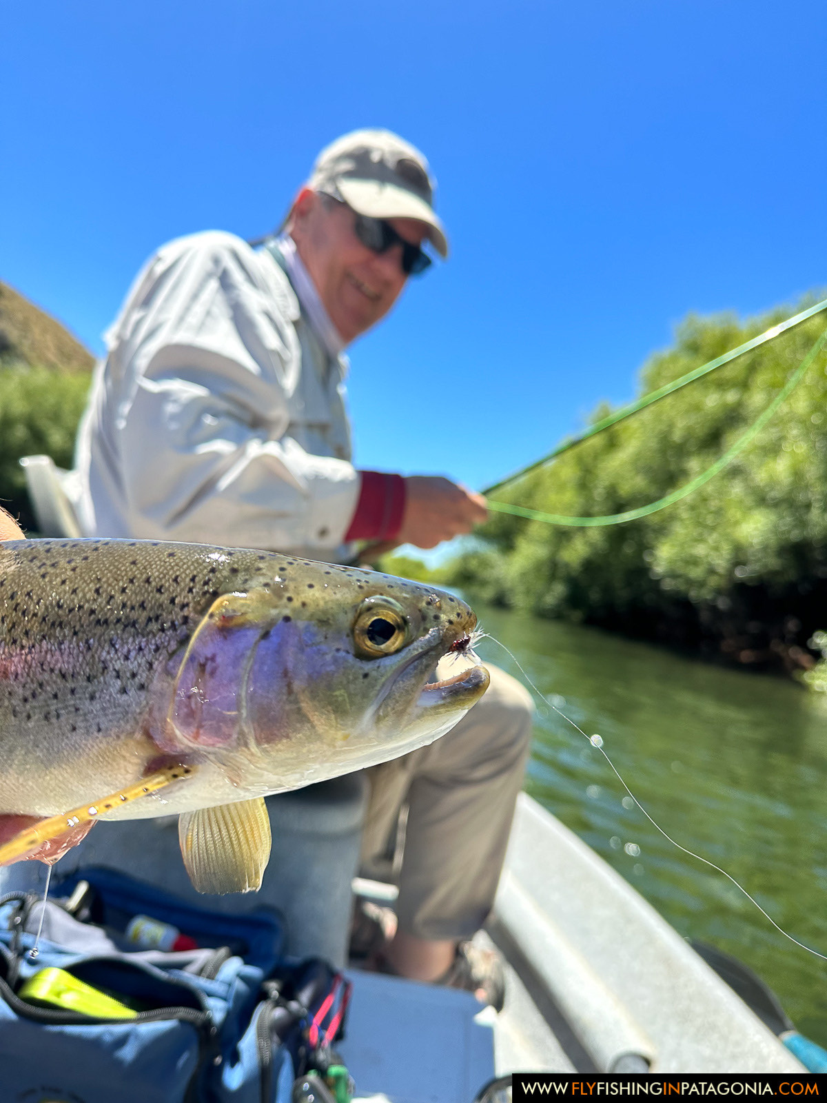 Chimehuin River fly fishing photo 24