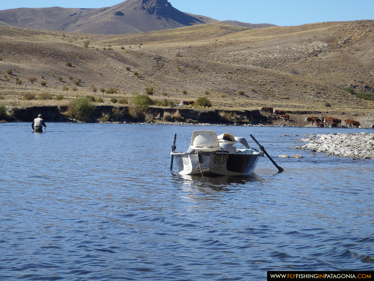 Chimehuin River fly fishing photo 29