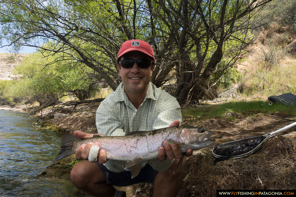 a big rainbow trout netted on the Chimehuin River
