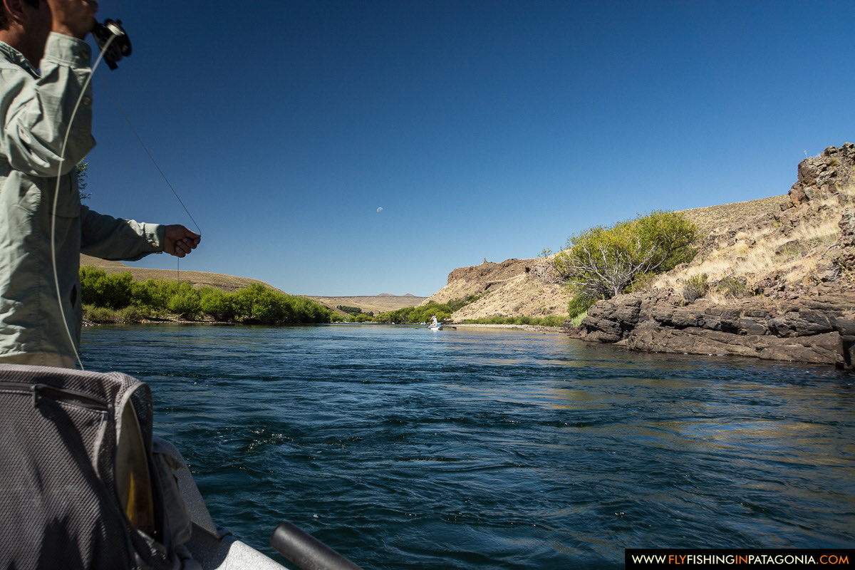 drifting past the Farallon Negro cliffs on the Chimehuin River