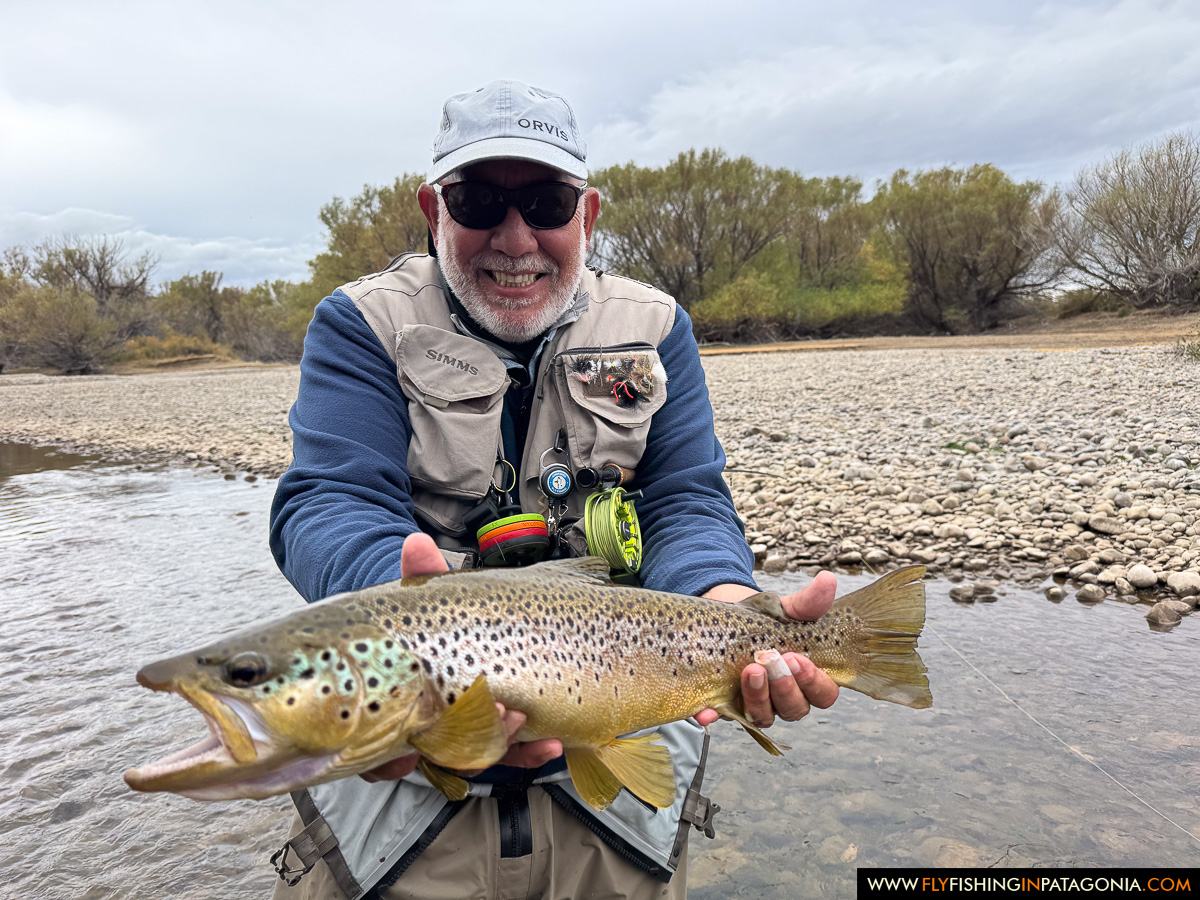 Angler holding a large brown trout from the Collon Cura River