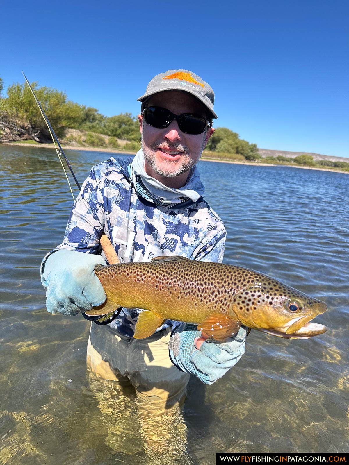 Angler holding a brown trout while wading the Collon Cura River