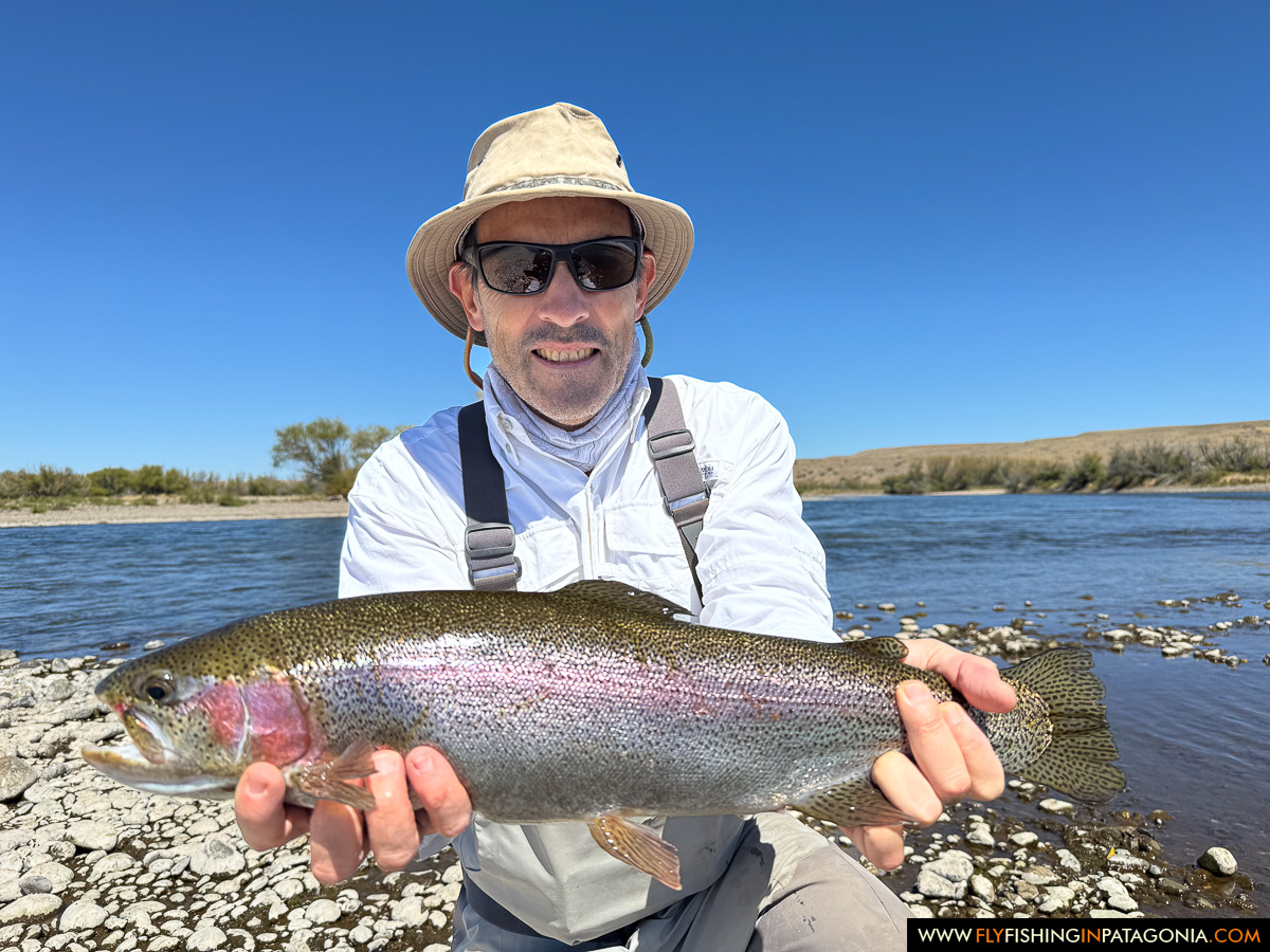 Angler holding a rainbow trout on the Collon Cura River