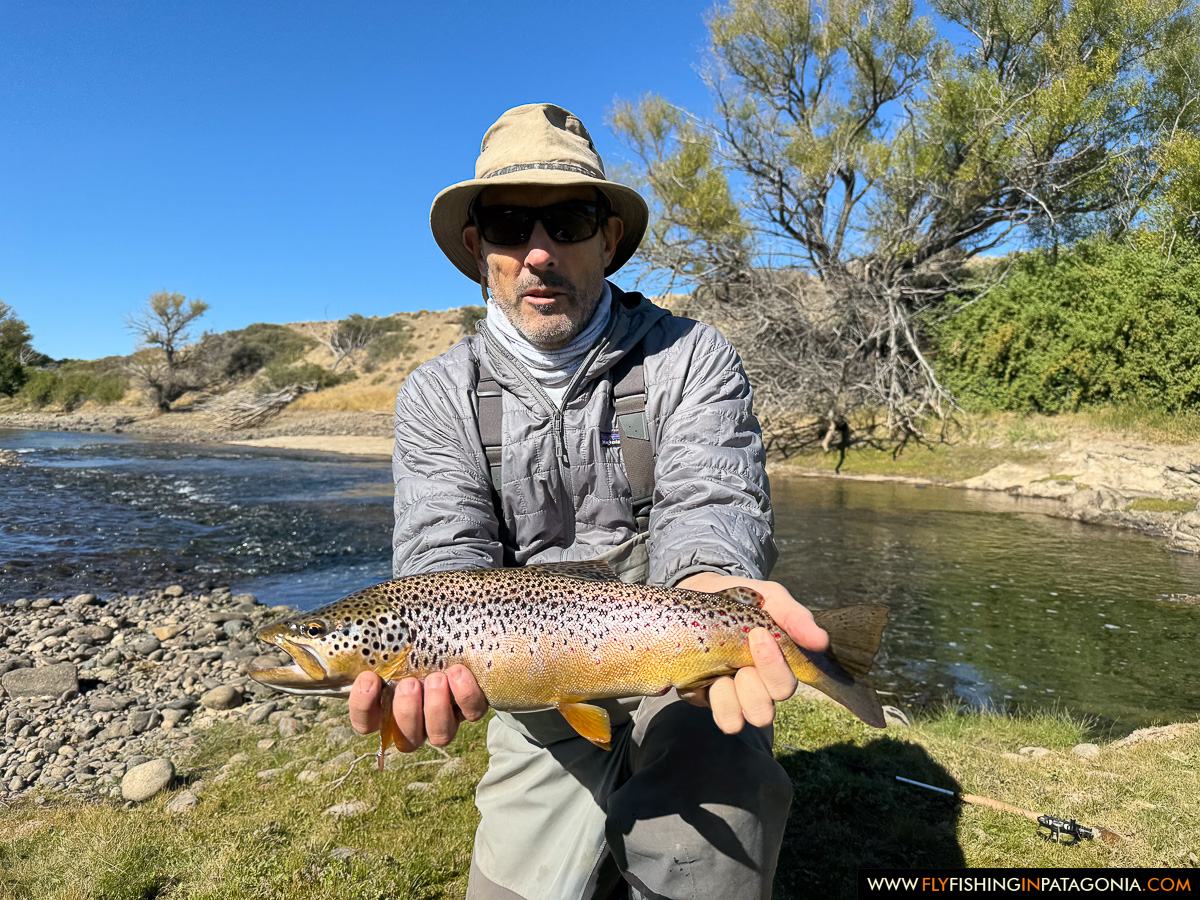 Angler holding a brown trout beside a Collon Cura River side channel