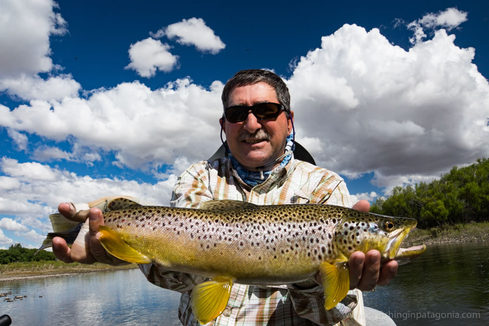 Angler holding a large brown trout from the Collon Cura River