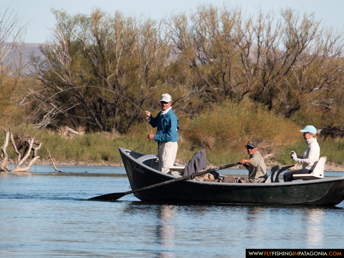 Guide and anglers drifting a willow-lined section of the Collon Cura River
