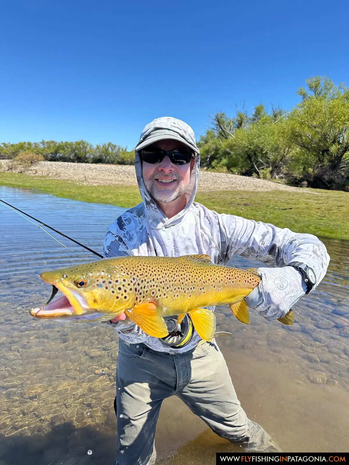Angler presenting a brown trout beside the Collon Cura River