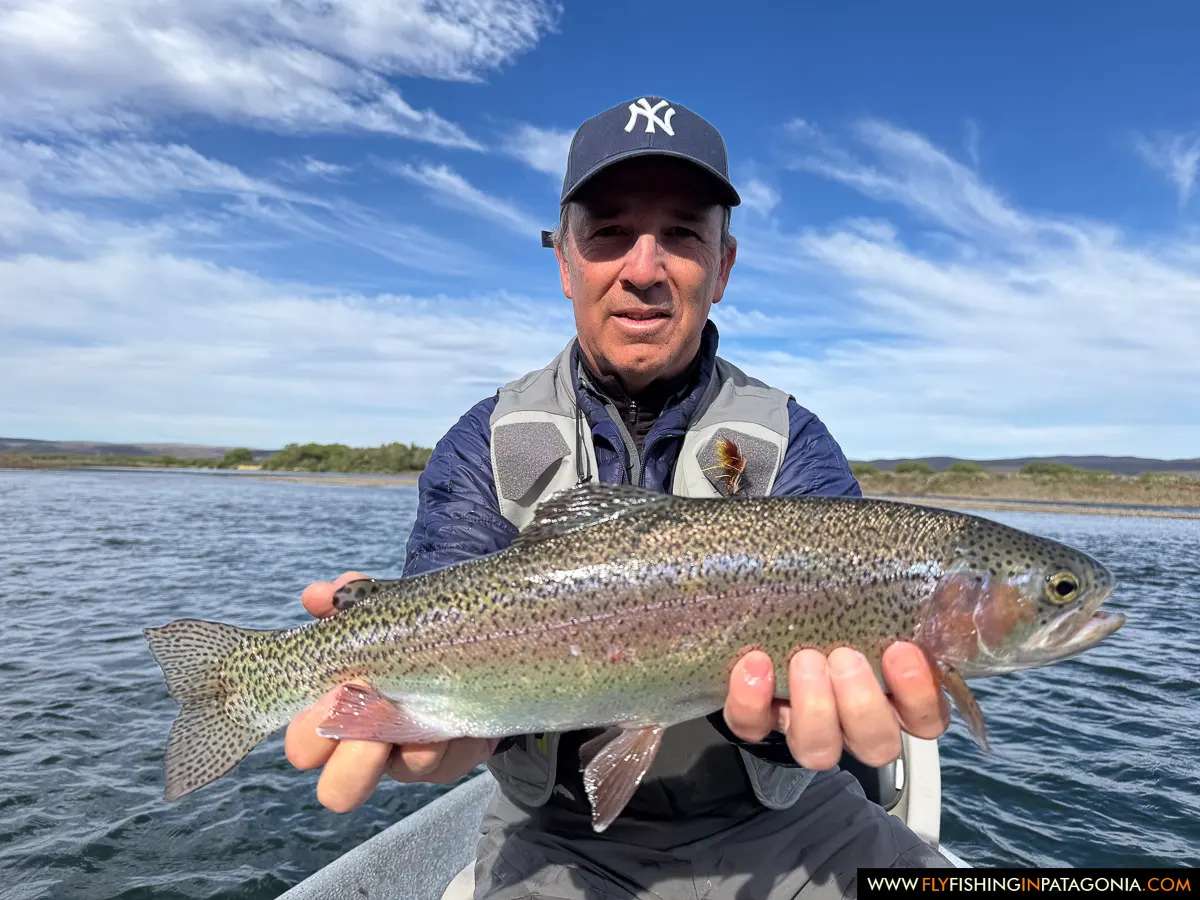 Angler holding a large rainbow trout aboard a boat on the Collon Cura River