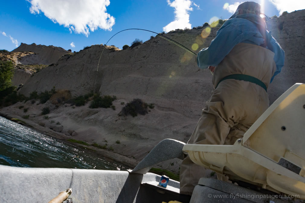 Angler fighting a trout from a drift boat on the Collon Cura River
