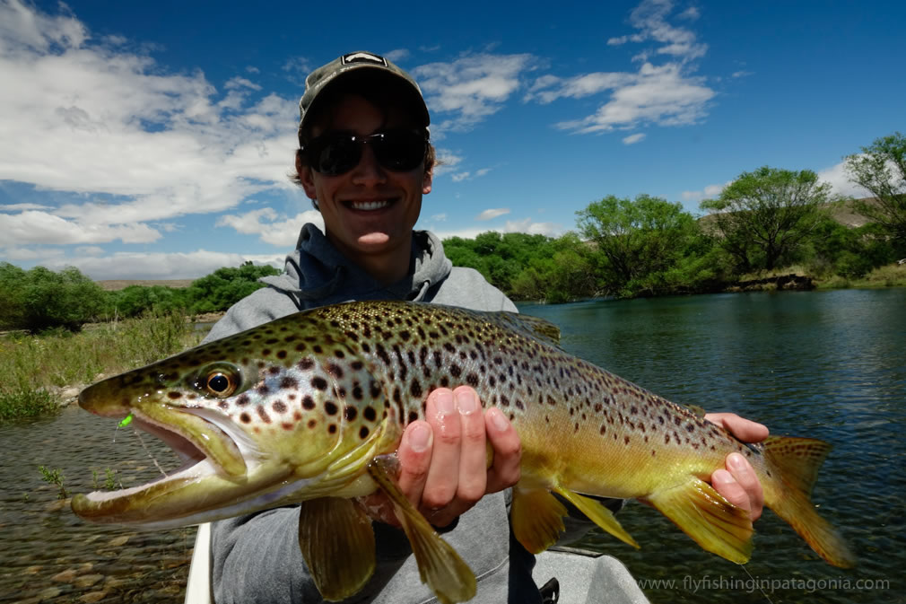 Angler holding a brown trout caught on an inchworm fly in the Collon Cura River