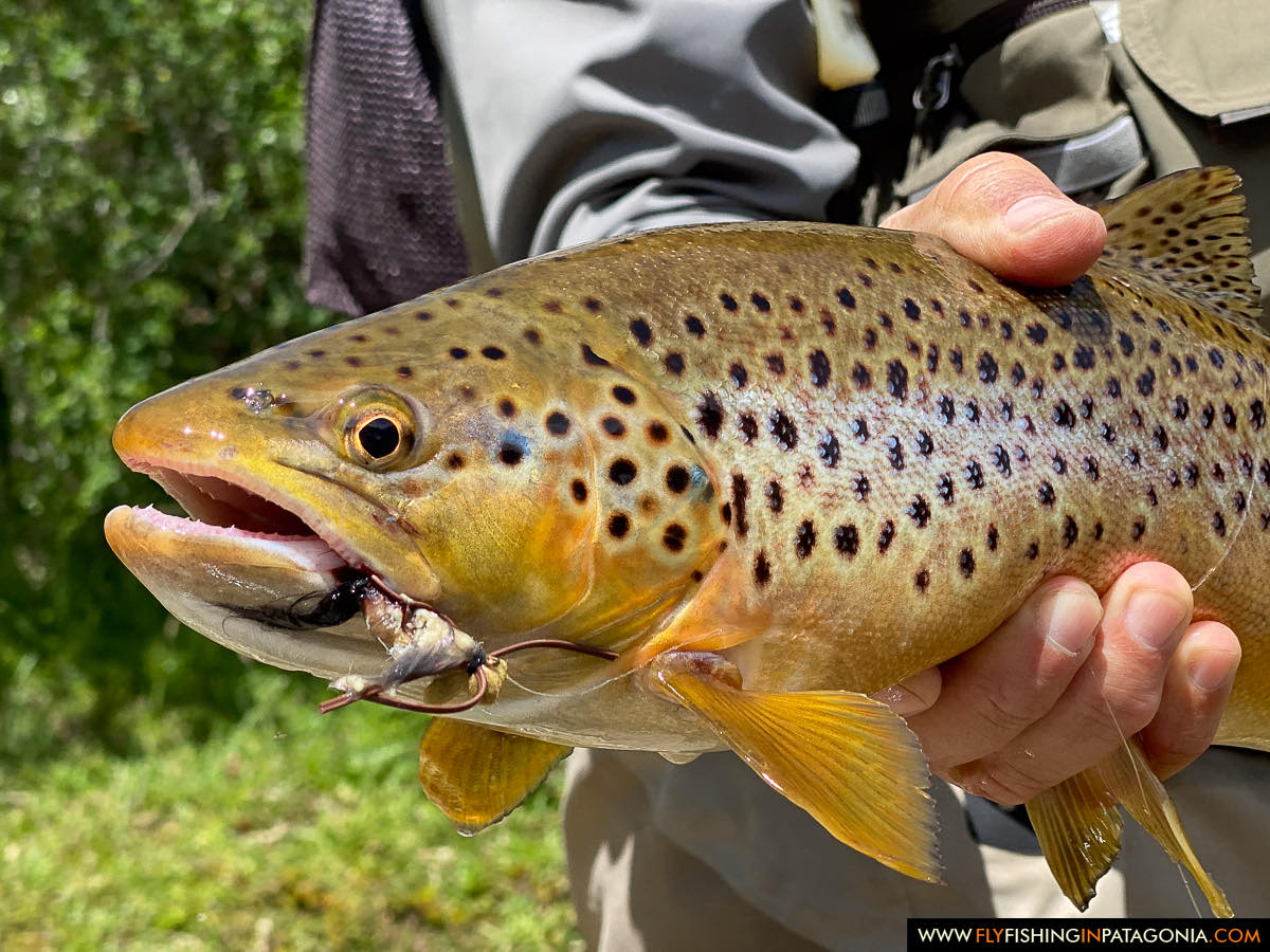 Filo Hua Hum River fishing photo 1