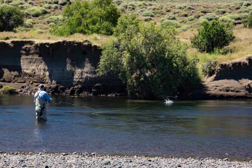 Art fighting a trout on the Malleo River
