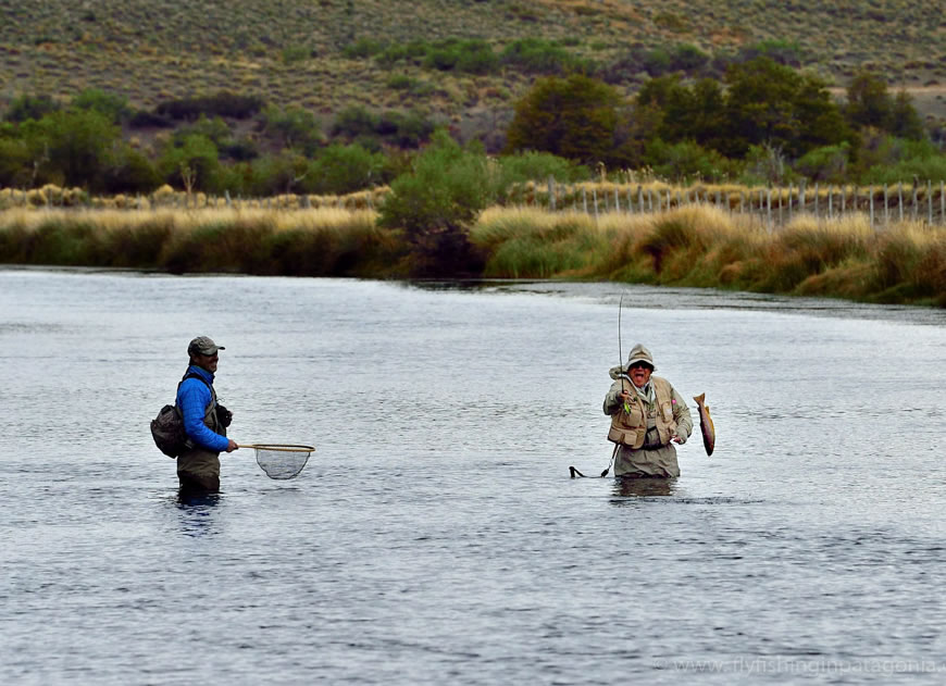 Large brown trout jumping while anglers fish the Malleo River
