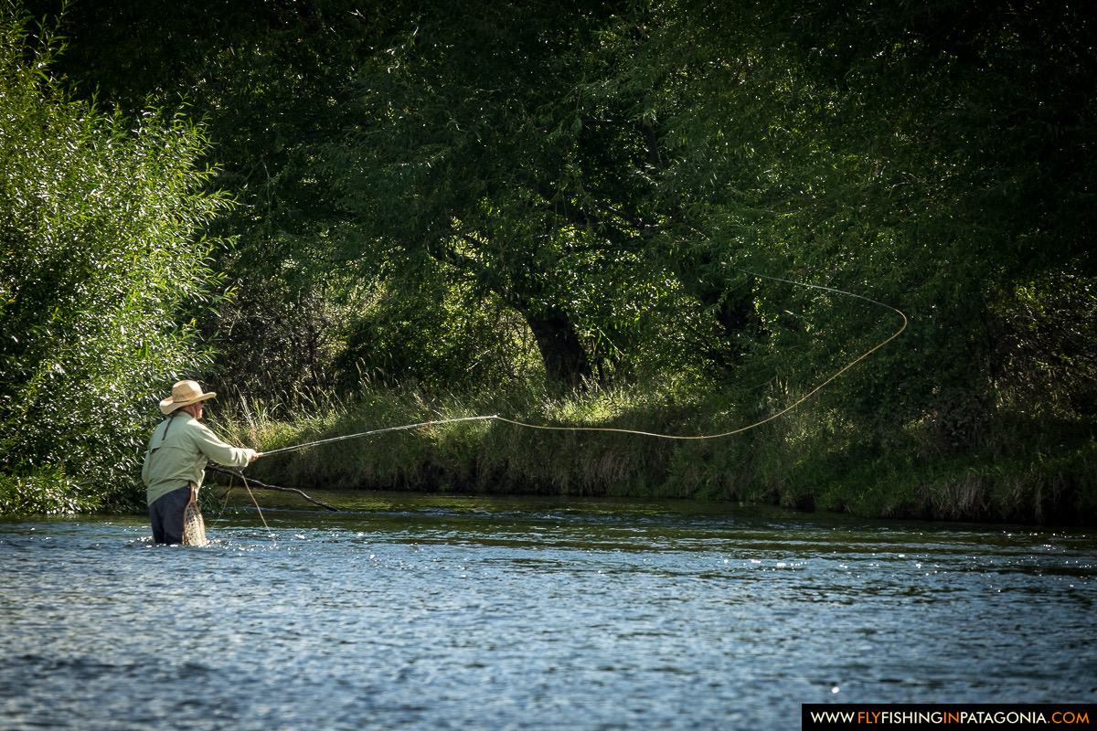Michael Polaire casting beneath the willows on the Malleo River