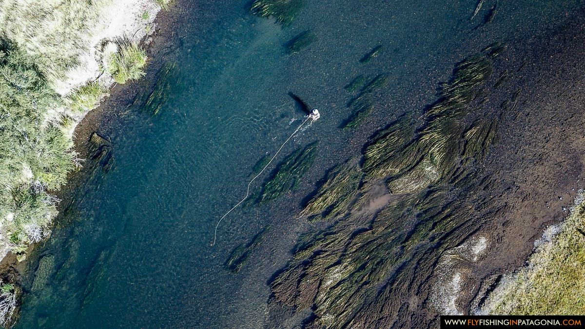 Aerial view of trout holding in the Willows Pool on the Malleo River