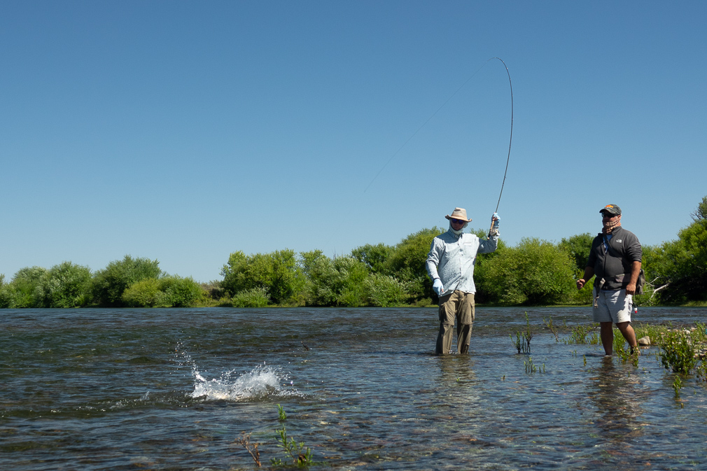 water exploats when a nice rainbow trout feels the hook