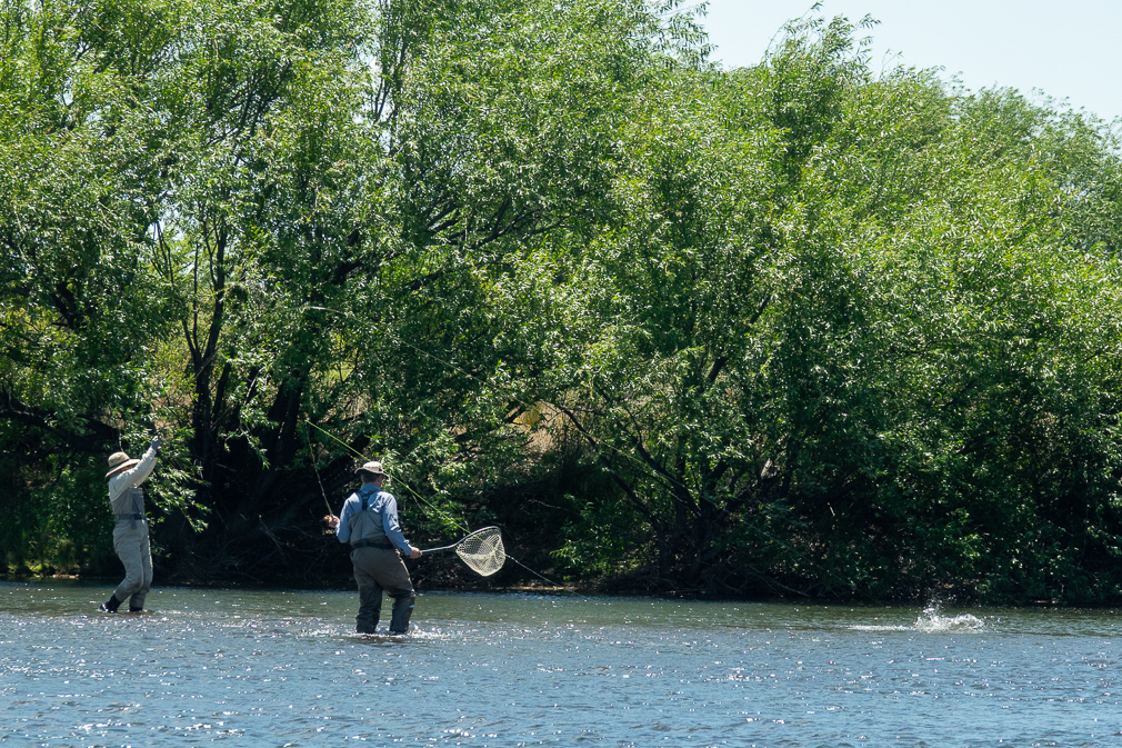 wade fishing a great run