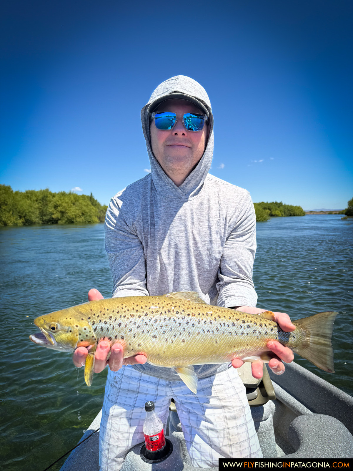 a trophy trout release on the middle limay river