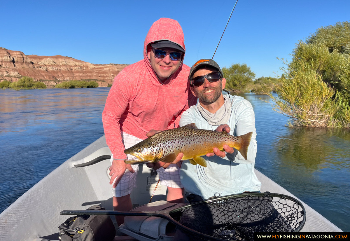 a colorful rainbow trout from the middle limay river