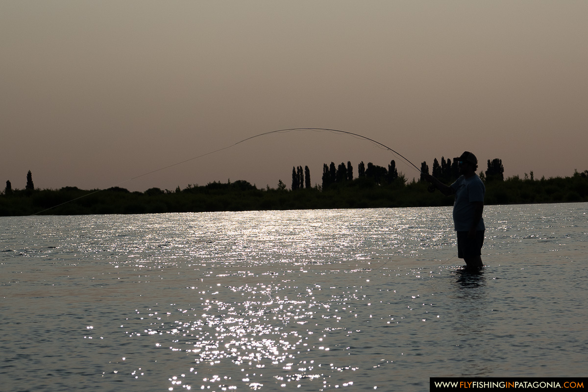 silhouette of an angler fighting a fish into the sunset on the middle limay river