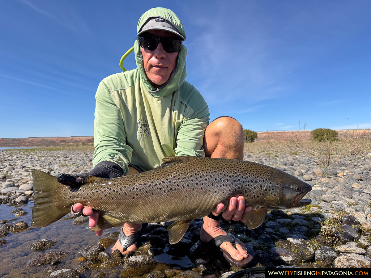 a proud angler crouching with a big brown trout on the middle limay river