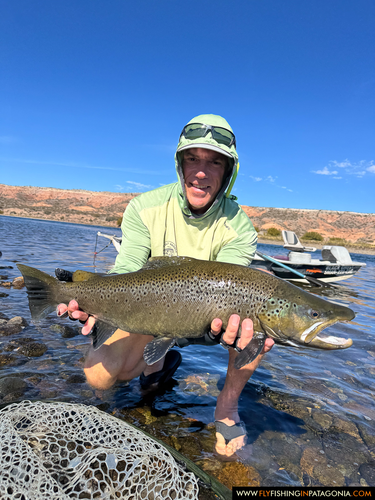 wading with a heavy brown trout beside the drift boat on the middle limay river