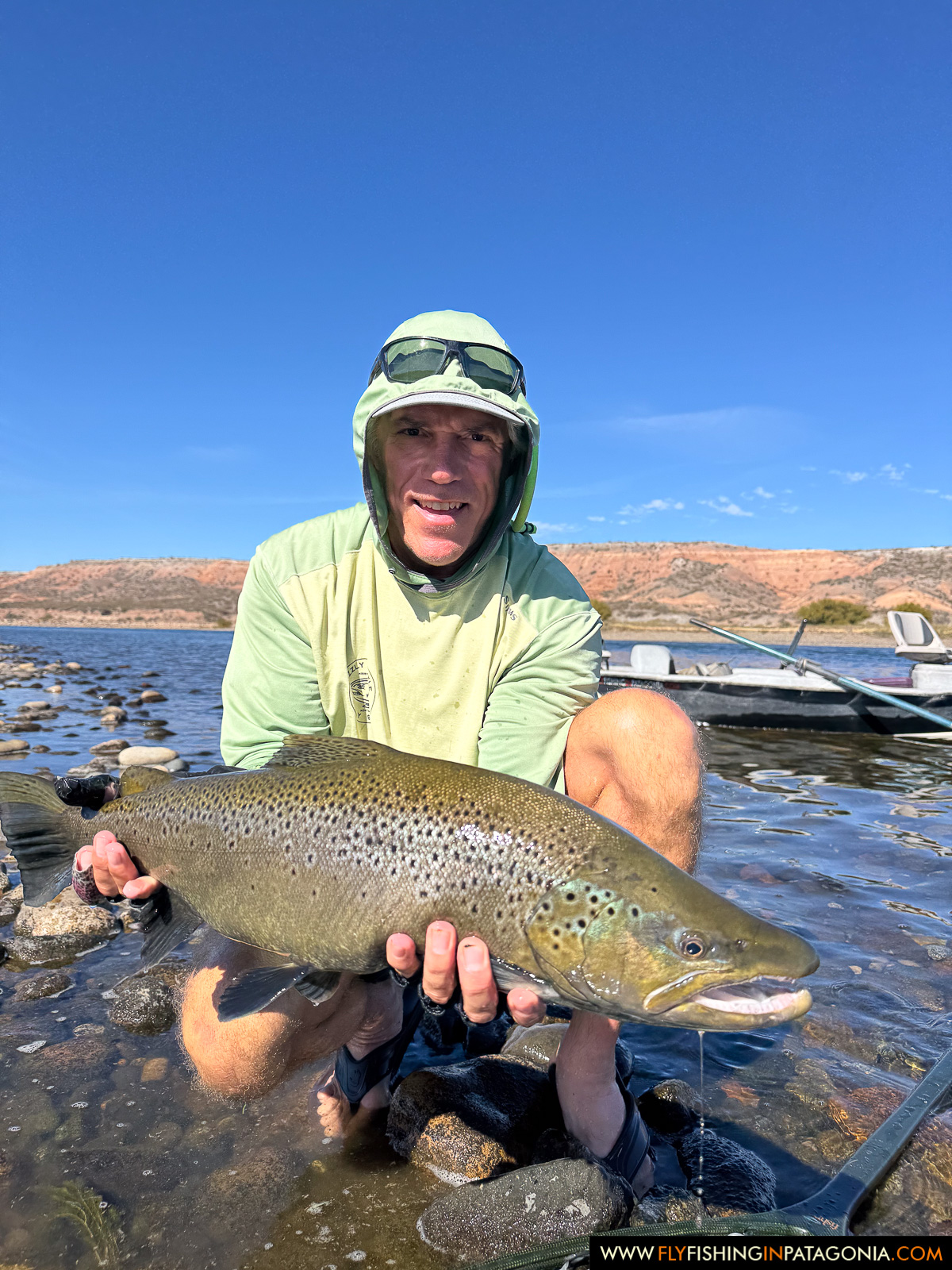 showing off a great brown trout on the rocky shoreline of the middle limay river