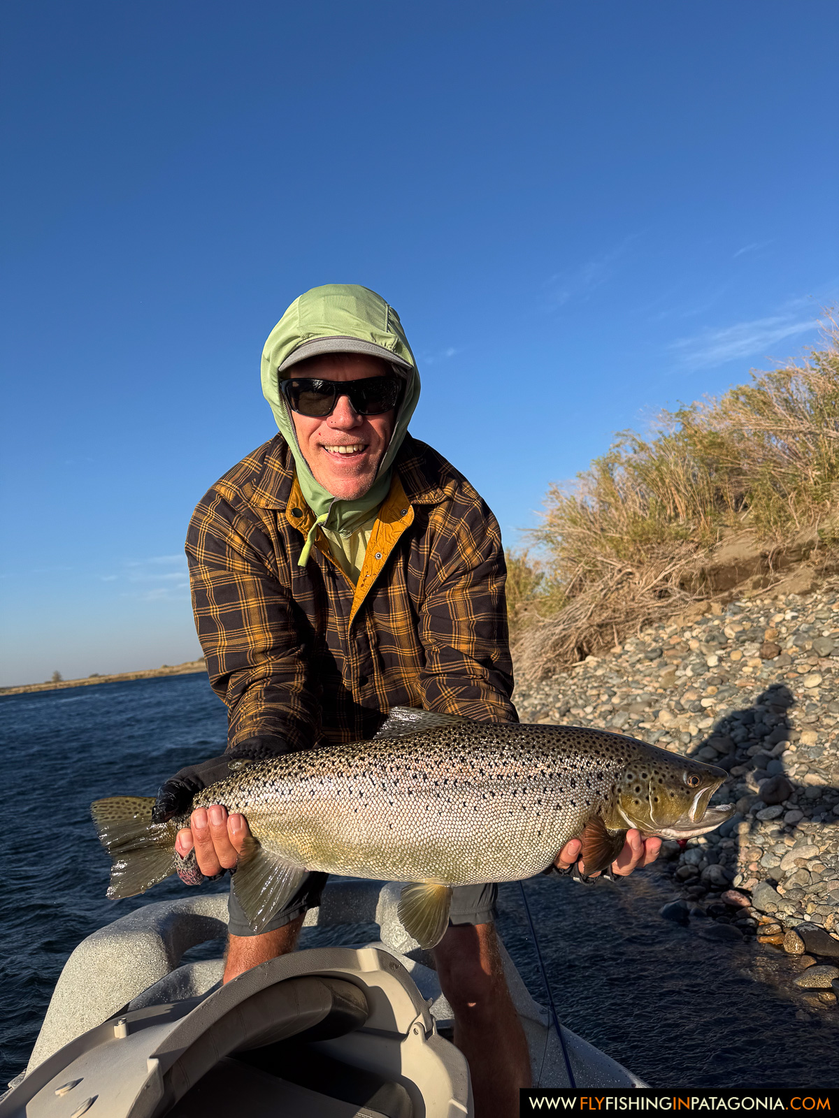 all smiles with a beautiful brown trout at sunrise on the middle limay river