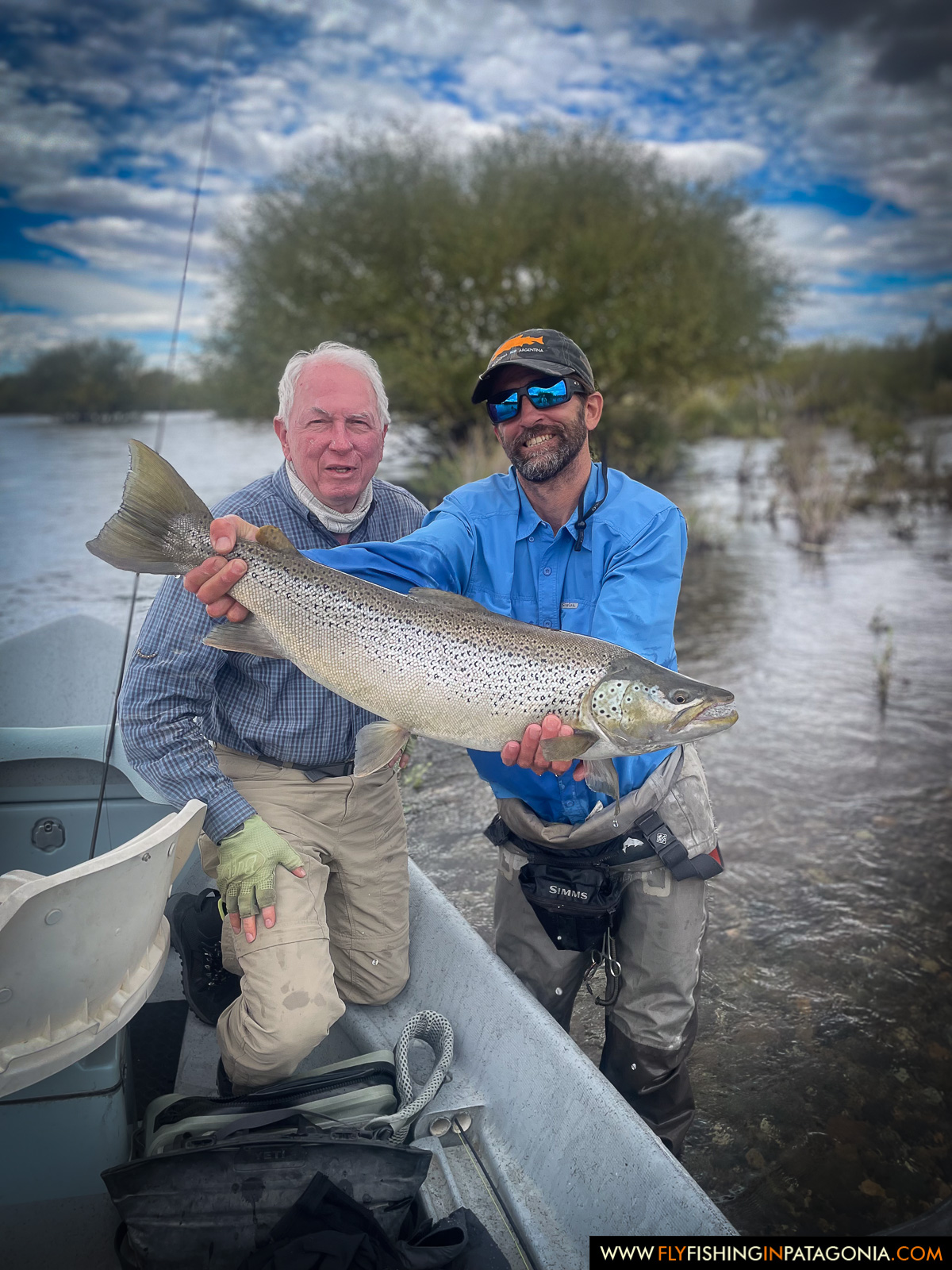 wading through flooded willows with a beautiful brown trout on the middle limay river