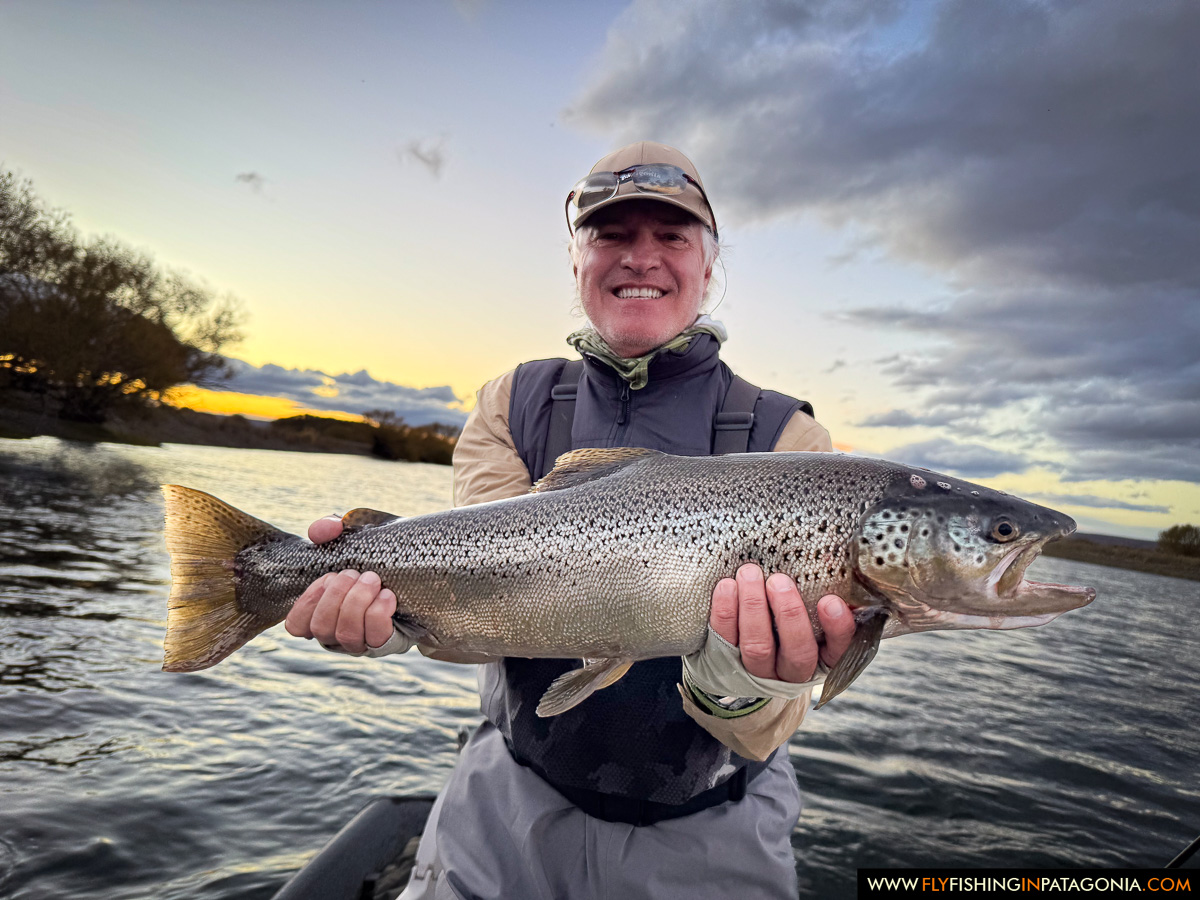 wade fishing with fly rod and a nice brown trout on the middle limay river