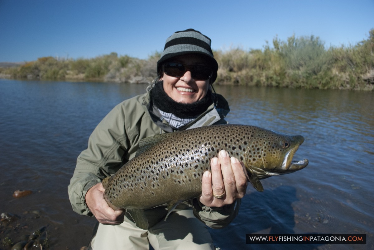 Angler holding a large brown trout from the Quemquemtreu stream