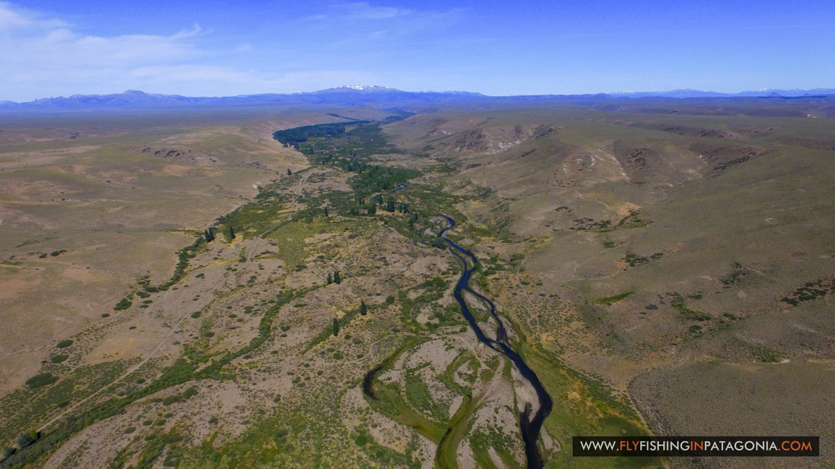 Aerial view of the Quemquemtreu stream winding through the Patagonian steppe toward the Andes