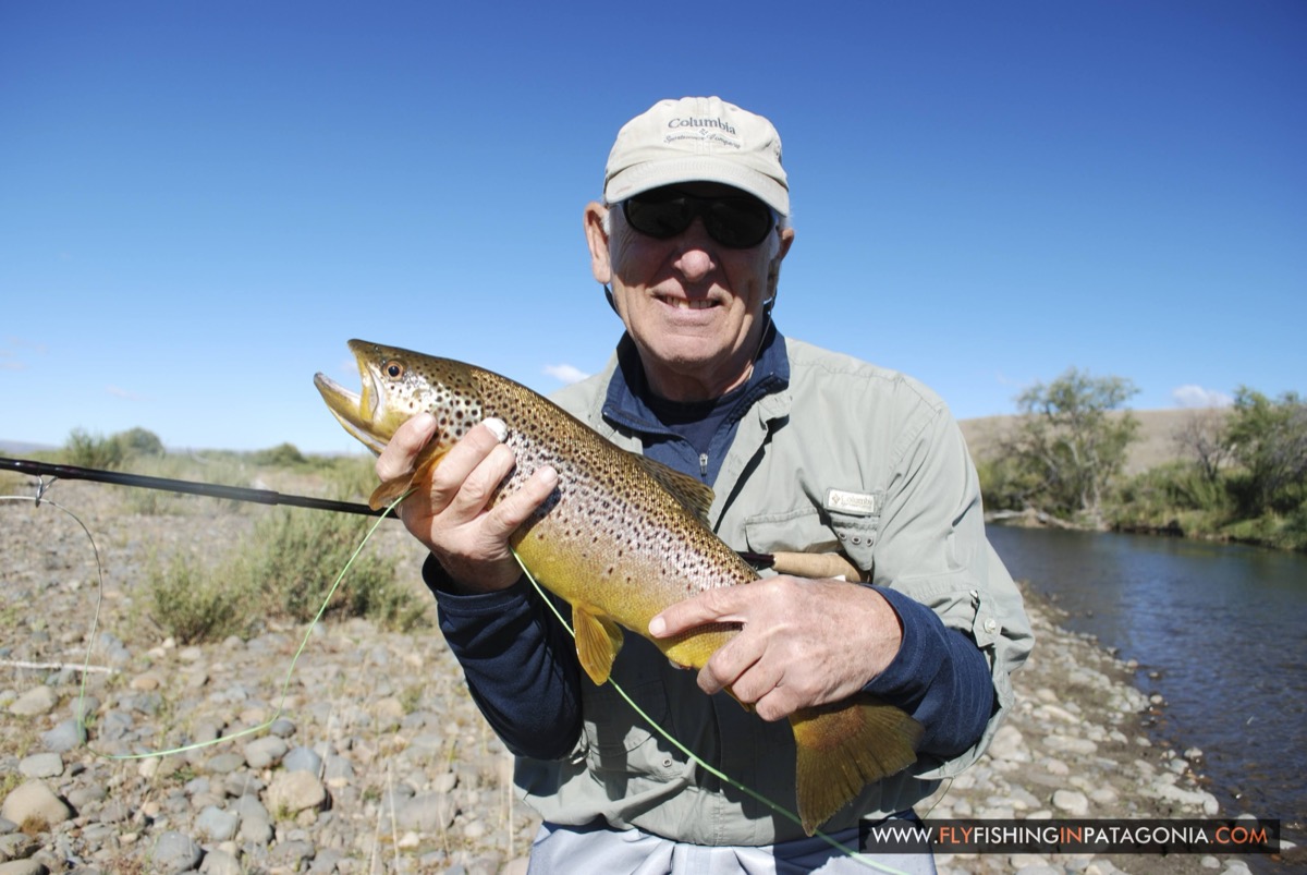 Angler holding a golden brown trout from the Quemquemtreu stream