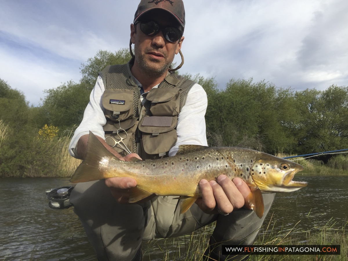 Angler holding a brown trout beside the Quemquemtreu stream