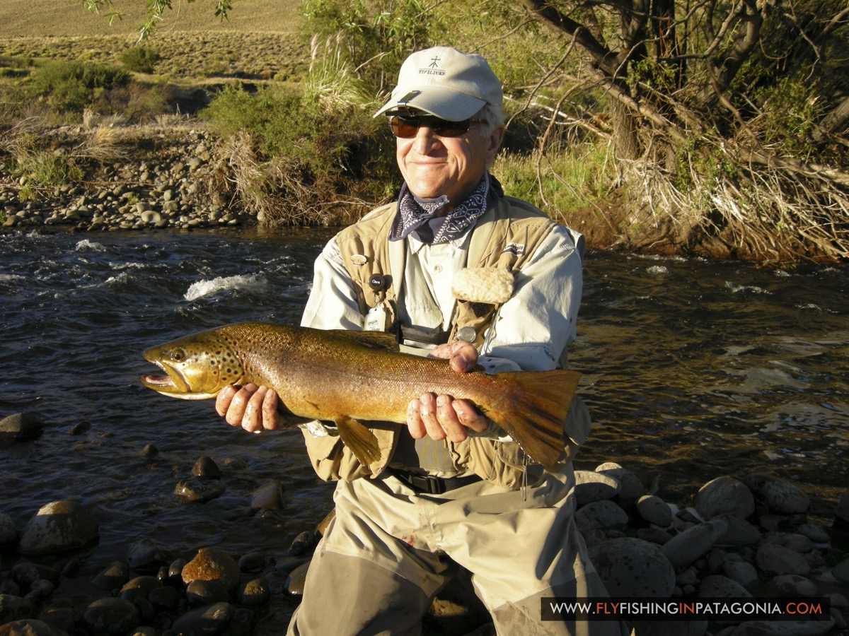 Angler holding a large golden trout at sunset on the Quemquemtreu stream
