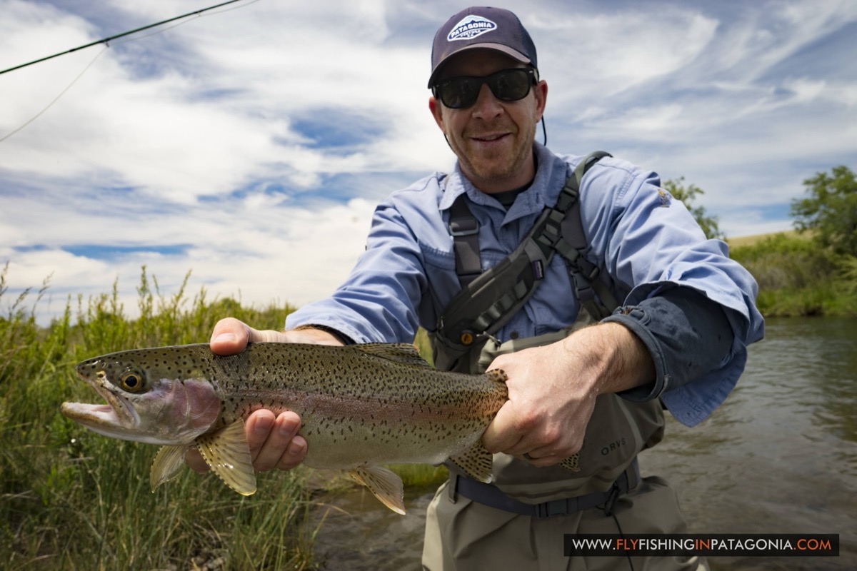 Close view of a rainbow trout from the Quemquemtreu stream