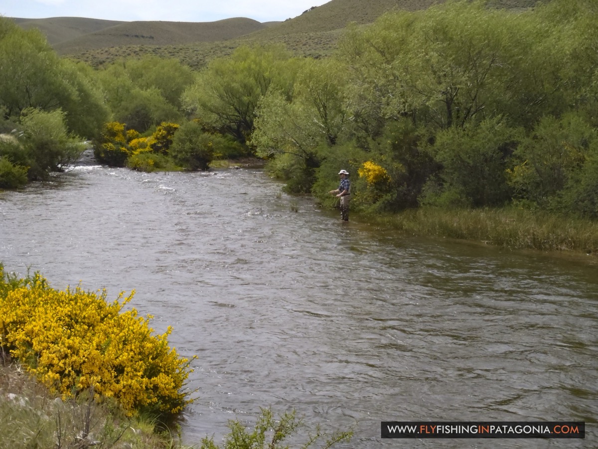 Angler fly fishing a scenic bend of the Quemquemtreu stream