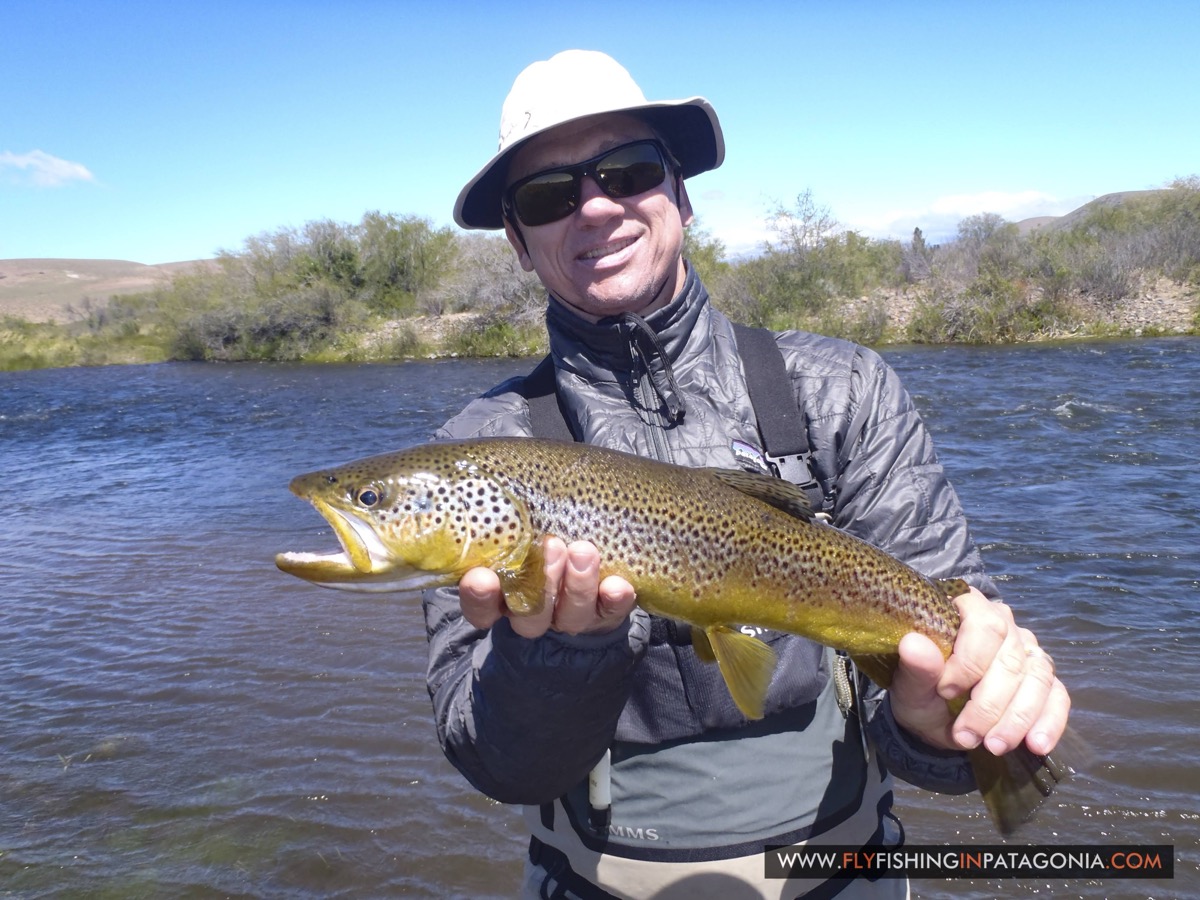 Angler holding a brown trout on a sunny day at the Quemquemtreu stream