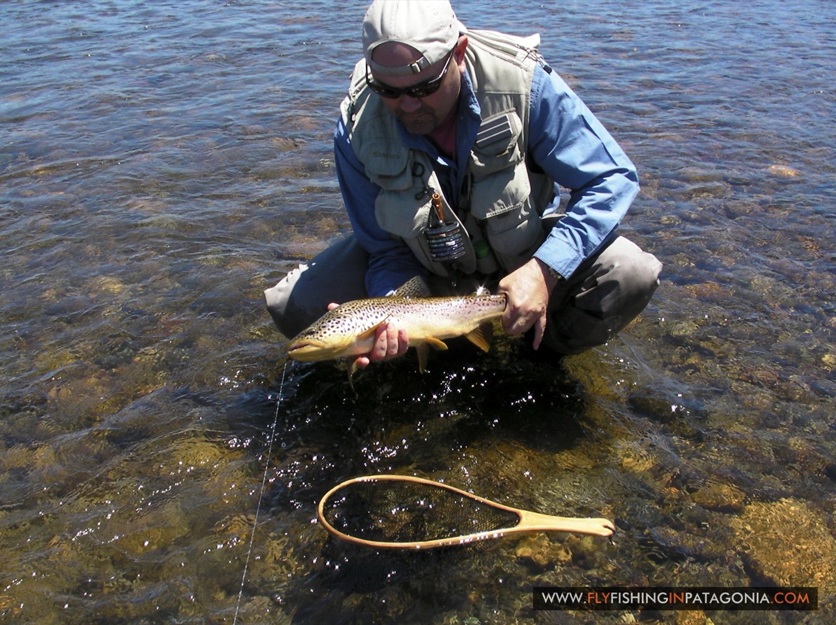 Angler releasing a trout back into the Quemquemtreu stream