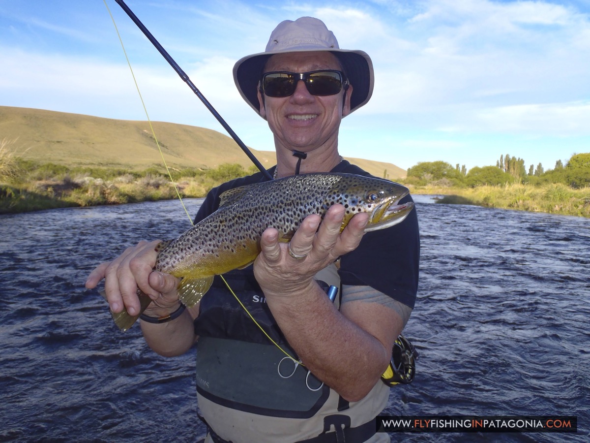 Angler holding a brown trout portrait on the Quemquemtreu stream