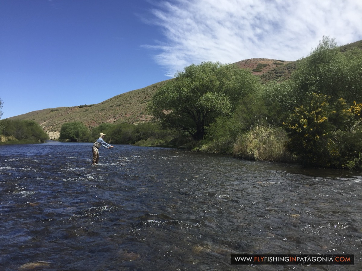 Angler holding a fly rod and landing net beside the Quemquemtreu stream