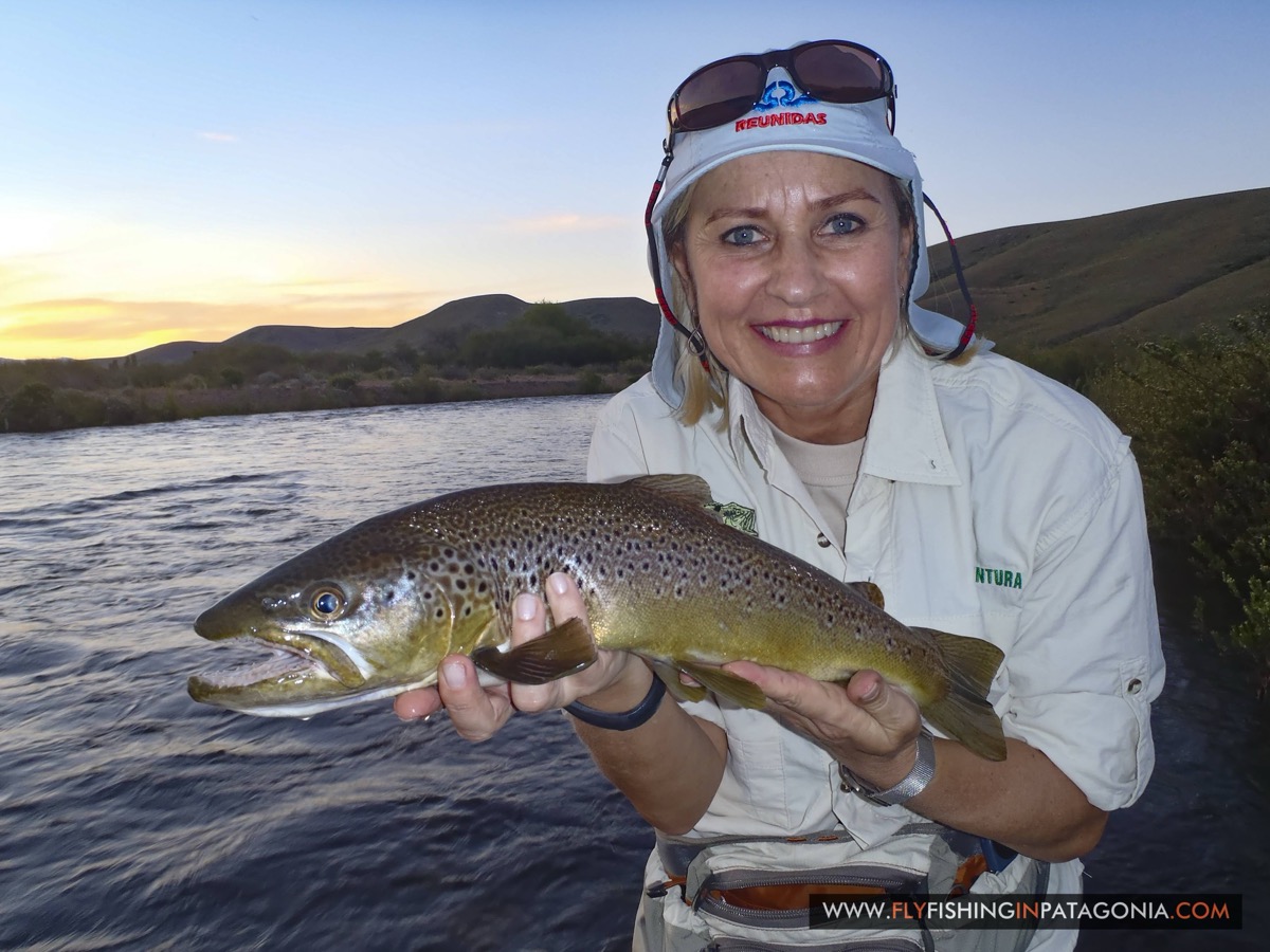 Angler holding a brown trout at sunset on the Quemquemtreu stream