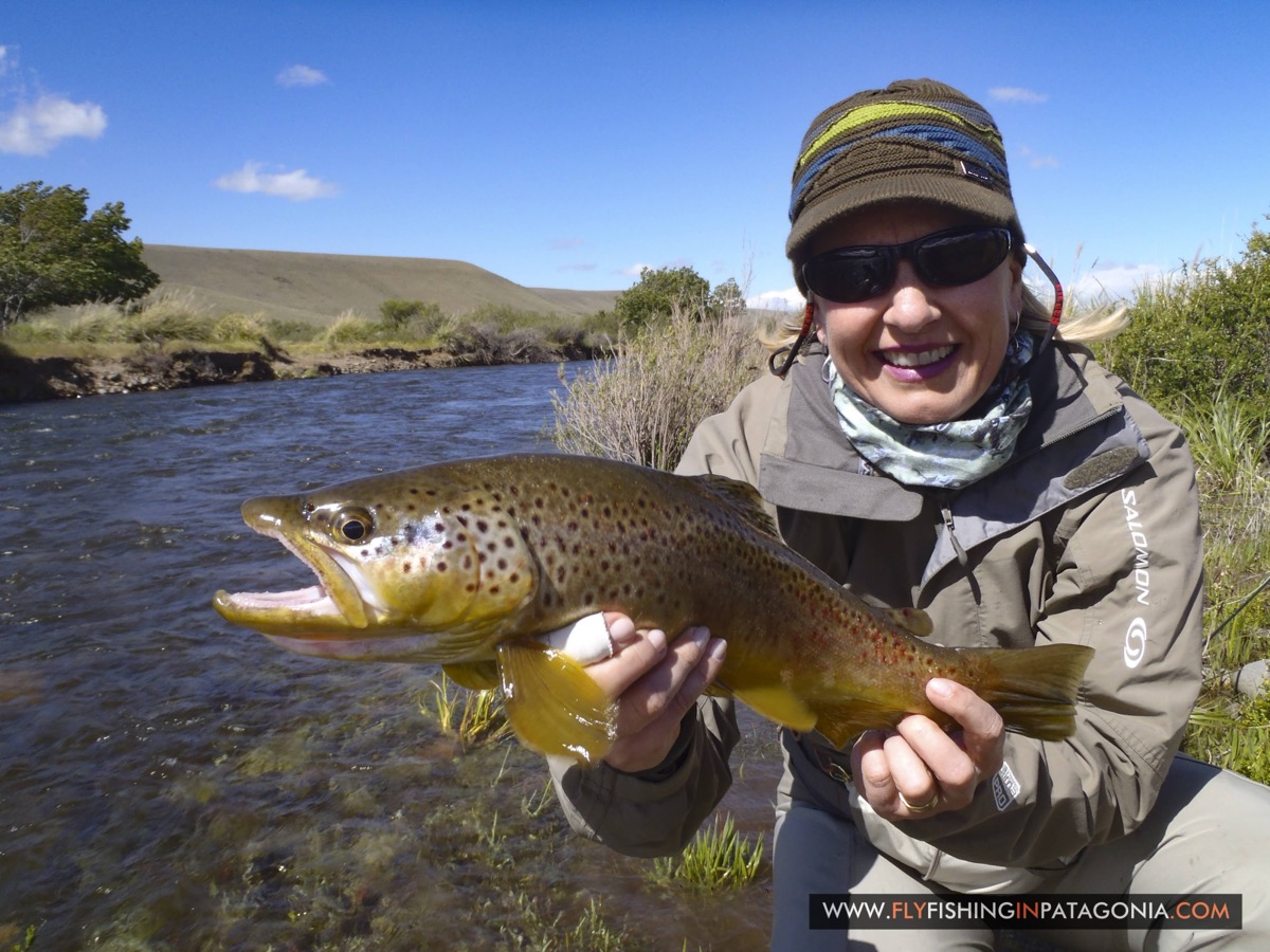Angler holding a brown trout beside the Quemquemtreu stream