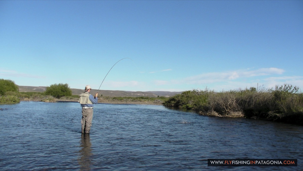 Angler holding a brown trout on the Quemquemtreu stream