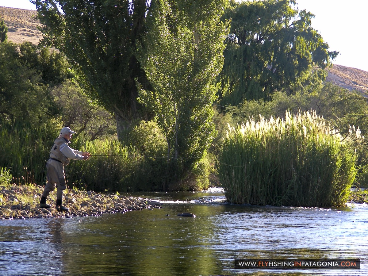 Angler wading and fly fishing the Quemquemtreu stream at golden hour